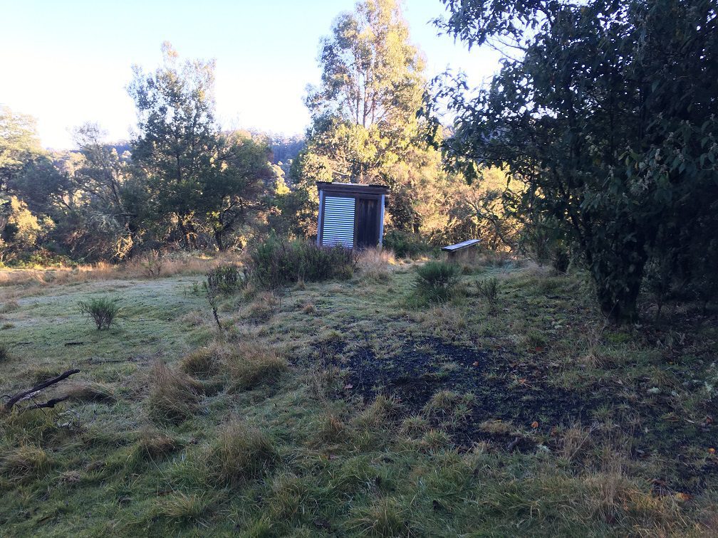 Overgrown ground at Jumbuk Rest Area before maintenance, looking towards the toilet