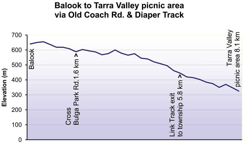 Elevation profile: steady descent from about 640 m at Balook to about 330 m at Tarra Valley picnic area (8.1 km)